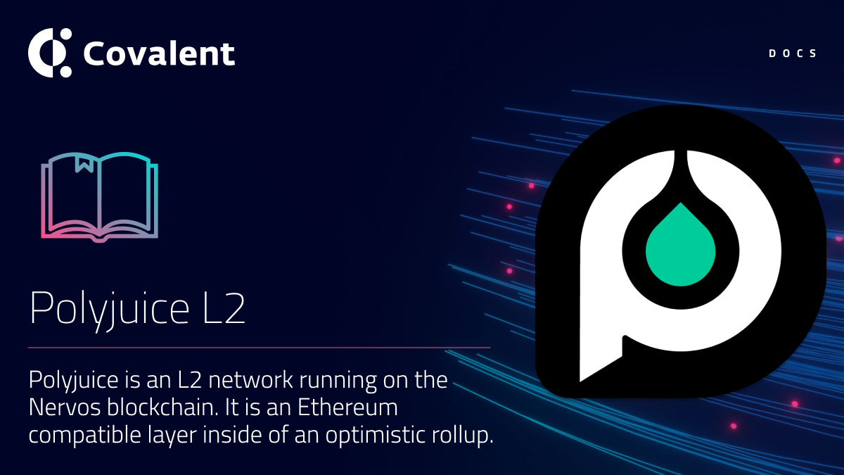 Polyjuice network banner
